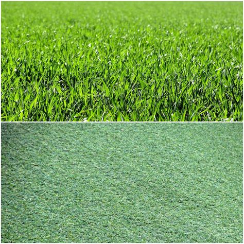 Real Grass vs Artificial/Synthetic Grass For Dogs & Pets: Which To Get? Diy Artificial Turf, Artificial Grass For Dogs, Fake Turf, Yard Area, Grass Stains, Fake Grass, Artificial Lawn, Grasses Garden, Artificial Turf