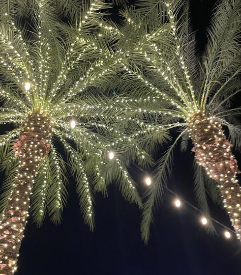 Palm Tree Christmas Lights, Mall Exterior, Palm Tree Christmas, Palm Tree Lights, Fake Palm Tree, Christmas Palm Tree, Holiday 2024, Light Ideas, Classy Christmas