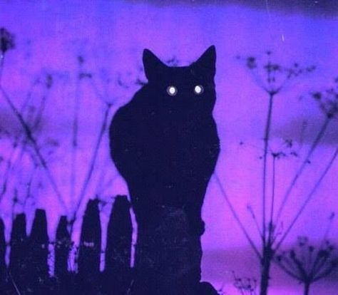 App Ikon, Baba Jaga, Violet Aesthetic, Purple Vibe, Yennefer Of Vengerberg, Catty Noir, Lavender Aesthetic, Dark Purple Aesthetic, Welcome To Night Vale