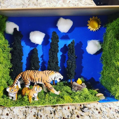 Jaguar Habitat Project For Kids, Tiger Habitat Project, Cheetah Diorama For Kids, Tiger Diorama Habitat, Jaguar Diorama, Jaguar Habitat, Habitat Diorama, Habitat Project, Rainforest Project