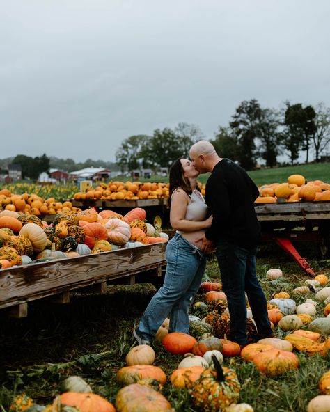 Pro tip: go to a pumpkin patch when it’s drizzling. Absolutely no one will be there! #marylandmaternityphotographer #maternity #thebump #babybump #pumpkinpatch #spookyseason #babyboy #newbornphotographer #pumpkinpatchphotoshoot #gaverfarm #motherhood #familyphotos #frederickphotographer Pregnant Pumpkin Patch Photos, Pumpkin Patch Maternity Pictures, Pumpkin Patch Photoshoot, 2024 Photo, Pro Tip, Maternity Photos, Baby Bumps, Maternity Photographer, Maternity Pictures