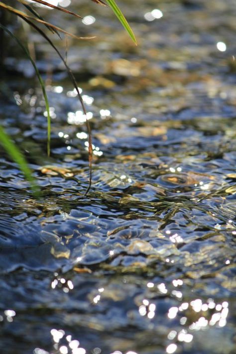 Fishing Pond, John Muir, Ponds, Land Scape, Nature Beauty, Mother Earth, Belle Photo, Beautiful World, In The Middle