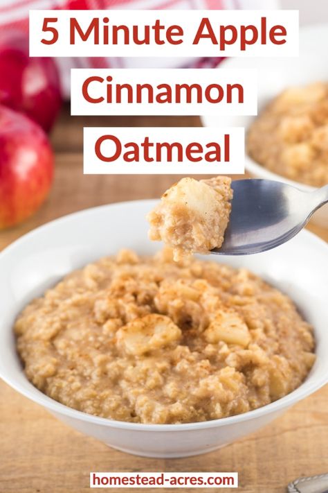 Easy Oatmeal Recipes, Quick Oatmeal, Apples Cinnamon, Apple Cinnamon Oatmeal, Breakfast Oatmeal Recipes, Homemade Oatmeal, Apple Oatmeal, Easy Oatmeal, Cinnamon Oatmeal