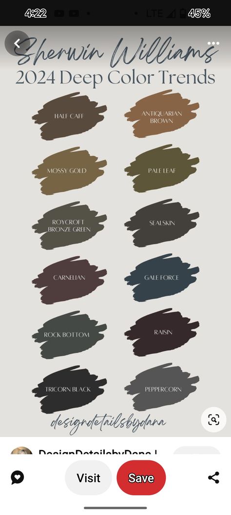 Dark And Stormy Color Palette, Sw Dark Brown Paint Colors, Hunting Lodge Color Palette, Moody Room Paint Colors, Sherwin Williams Antler Velvet, Entryway Color Palette Ideas, Moody Living Room Paint Colors, Brown Accent Wall Living Room, Charcoal Grey Living Room