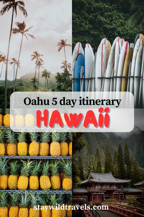 Discover all the best things to do on the island with this epic Oahu itinerary with 5 days of awesome activities + recommended places to stay! Oahu Itinerary, Kailua Beach, Atv Tour, Surf Lesson, Waikiki Beach, Hawaii Vacation, Pearl Harbor, Local Guide, Great View