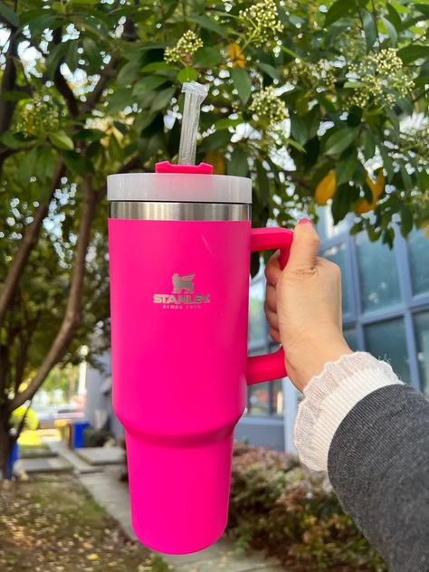 Hot pink Stanley Stanley Water Bottle, Rosé Hot, Camping Cups, Pink Cups, Logo Mugs, Stanley Quencher, Bag Pack, Insulated Mugs, Coffee Tumbler