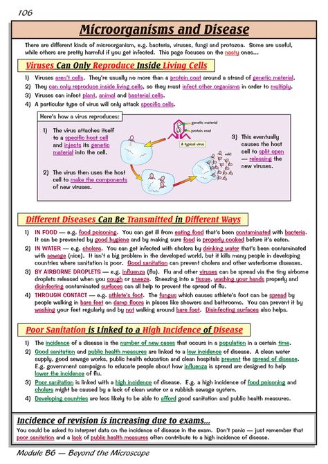 Microorganisms Notes Class 8, Microorganisms Notes, Medstudent Notes, Microorganisms Microbiology, Nursing School Studying Cheat Sheets, Microbiology Study, Bio Notes, Learn Biology, Biology Worksheet