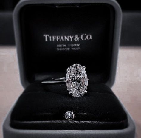 Tiffany Engagement, Tiffany Engagement Ring, Dream Wedding Ring, Future Engagement Rings, Dream Engagement Rings, Beautiful Engagement Rings, Classy Jewelry, Expensive Jewelry, Jewelry Lookbook