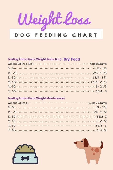 Diy Dry Shampoo, Food Chart, Dog Weight, Food Charts, Best Dog Food, Skin Care Items, Hair Food, Weight Reduction, Dog Feeding