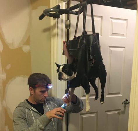 "He saw the idea to hang a dog from a doorway to clip nails...so he bought the purse to be cheaper," said Kendal. "It was his DIY project for the night." #dogdiyprojects Clipping Dog Nails, Cut Dog Nails, Grooming Hacks, How To Cut Nails, About Dogs, Girl Dad, Dog Nails, Dog Hacks, Dog Runs