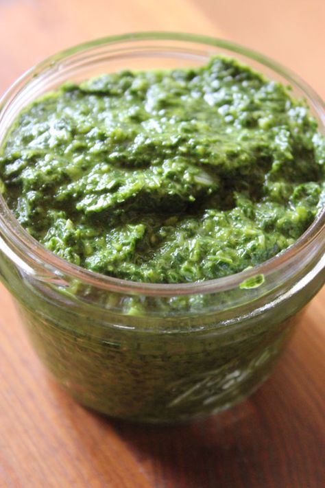 Cilantro Pesto, Food Crush, Asian Inspired Recipes, Pesto Recipe, Pesto Sauce, Seasonal Food, Entree Recipes, Cilantro Lime, Asian Inspired