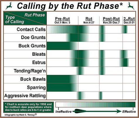 Deer Grunting - Bowsite.com Bowhunting Supersite Bow Hunting Deer, Whitetail Deer Hunting, Deer Hunting Tips, Quail Hunting, Turkey Calling, Hunting Life, Hunting Girls, Bowhunting, Deer Stand