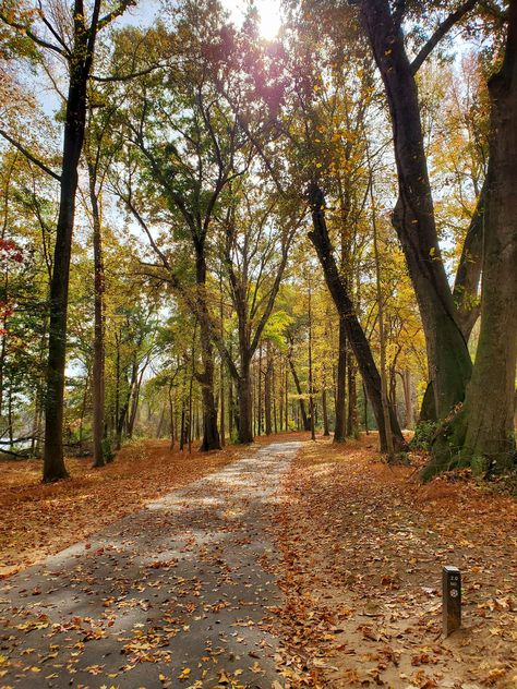 Riverwalk trail in Rock Hill South Carolina 🍁🍂🍁 #travel #explore #destination #rockhill #southcarolina #walk #park #citypark #nature #naturelovers #nature photography #aesthetic #hellowonderful #autumn #amazing #art #autumncolors #autumnmood autumn vibes #fall #leaves #trending #tree #naturevibes #outdoor Outdoor Walks Aesthetic, Walking Trail Aesthetic, South Carolina Fall, South Carolina Aesthetic, Fall In The South, Nature Photography Aesthetic, 2024 Energy, Rock Hill South Carolina, Shoot Moodboard