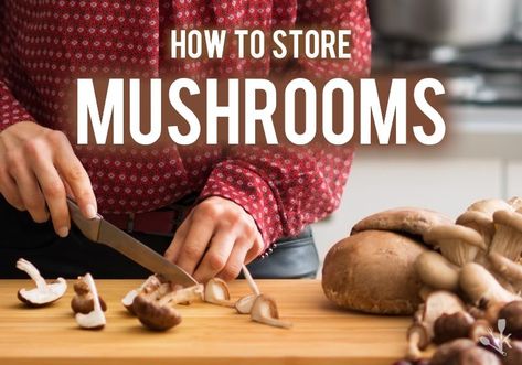 Learn how to store mushrooms including shiitake, Portobello, oyster and button mushrooms including storing in the fridge and drying to prevent them from going bad. How To Store Mushrooms, Mushroom Storage, Storing Fruit, Shitake Mushroom, Crimini Mushrooms, Stuffed Portabella Mushrooms, Button Mushrooms, Summer Side Dishes, Veggie Tray