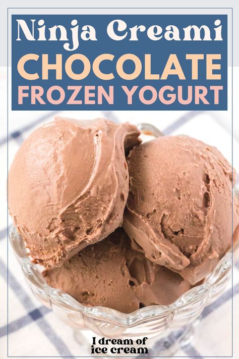 This easy chocolate frozen yogurt is a cinch to make in the Ninja Creami machine! It's a decadent treat, making it a great way to increase protein while satisfying your sweet tooth. Ninja Creamy Frozen Yogurt Recipe, Ninja Creami Chocolate Frozen Yogurt, Ninja Creami Blueberry Frozen Yogurt, Ninja Creami Chocolate Frosty, Ninja Cremini Ice Cream Protein, Chocolate Frozen Yogurt, Treat Making, Protein Ice Cream Recipes, Ninja Ice Cream Recipe