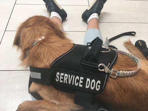 Deep Pressure Therapy, Psychiatric Service Dog, Deep Pressure, Dog Training Tools, Service Dogs Gear, Service Dog Training, Therapy Dog, House Training Dogs, Assistance Dog