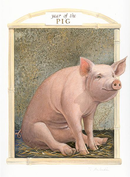 Pig Reference, Pigs Art, Pig Chinese Zodiac, Pig Clipart, Farm Books, Pig Drawing, Zodiac Years, Pig Art, Year Of The Pig