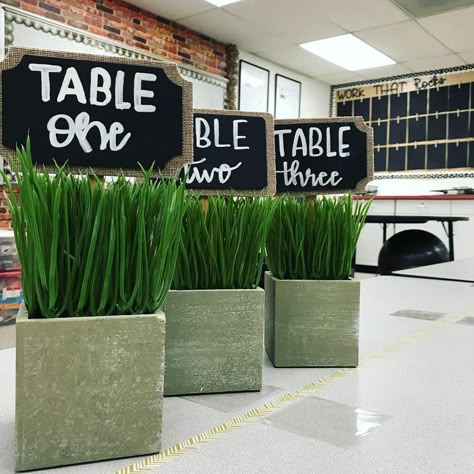 I love these plants for table numbers in the classroom! Plants For Table, Plants Classroom, Classroom Table, Classroom Arrangement, Classroom Theme Ideas, Classroom Goals, Farmhouse Classroom, Cute Classroom, Dream Classroom