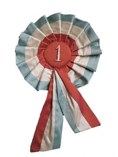 1st prize rosette ribbons = want! Village Fete, Award Ribbons, Award Ribbon, Ribbon Rosettes, First Prize, Old Glory, State Fair, Digimon, Red White And Blue