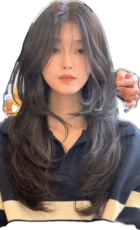 Pretty Hair Cuts, Muka Lelaki, Aesthetic Hairstyles, Hairstyle Examples, Haircuts For Long Hair With Layers, Haircuts For Medium Length Hair, Hair Style Korea, Hair Inspiration Long, Layered Haircuts For Medium Hair