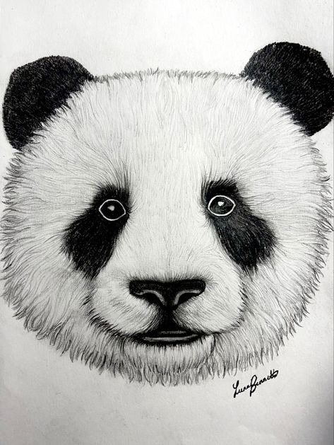 Panda Drawing, Panda Eyes, Panda Love, Eye Drawing, Pyrography, Panda Bear, Drawings, Animals, Quick Saves