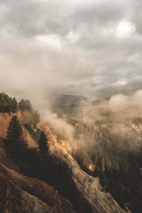 Featured photo by eberhard grossgasteiger. See more of eberhard's work on Pexels at https://www.pexels.com/u/eberhardgross/ #sky #clouds #forest Outdoor Pics, Cheap Family Vacations, Mountain Aesthetic, Holiday Organization, Misty Forest, Family Destinations, Beautiful Travel Destinations, Forest Wallpaper, Family Travel Destinations