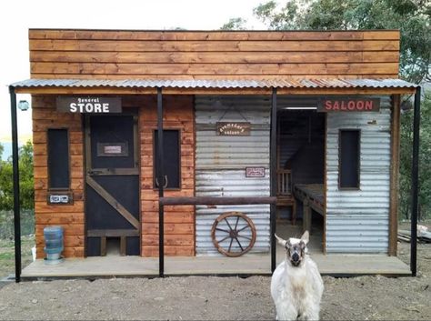 2 Story Goat House, Chicken Coop And Goat Pen, Lamb House Ideas, Chicken And Goat House, Goat And Chicken Pen, Cute Goat House Ideas, Small Goat House, Goat And Chicken House, Goat Platform Ideas