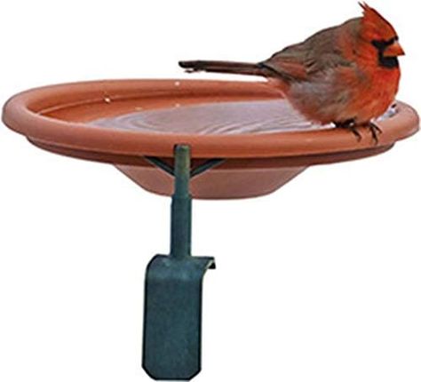 Amazon.com : Audubon by Woodink 990997 NABATH Deck Mount Bird Bath, 1 Quart Cap, Tan : Garden & Outdoor Bird Bath Bowl, Bird Accessories, Water Source, Wildlife Decor, House Deck, Healthy Water, Garden Fountain, Bird Supplies, Red Bird