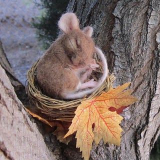 mousy Sleeping Mouse, Needle Felted Art, Tovad Ull, Felted Mouse, Felted Art, Felt Mouse, Needle Felting Projects, House Mouse, Felting Tutorials