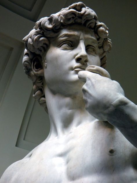 ART SECTION DAVID THE MIGUEL ANGEL REALISTIC DRAWING — Steemit Accademia Gallery, Michelangelo Sculpture, Ancient Greek Sculpture, Greek Statues, Rennaissance Art, Roman Sculpture, Greek Sculpture, Ancient Sculpture, Marble Sculpture