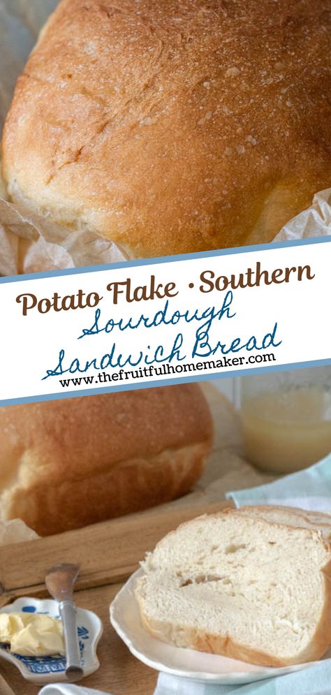 No stretch and folds required for this Southern sourdough bread! Perfect for sandwiches! Potatoe Flake Sourdough Bread Recipe, Potato Flake Sourdough Bread Recipes, Dough Starter Recipe, Sourdough Sandwich Bread Recipe, Sourdough Sandwich Bread, Sandwich Bread Recipe, Sandwich Thins, Sourdough Bread Starter, Sourdough Bread Sandwiches