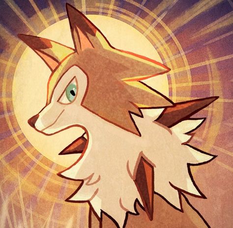 Lycanroc Pfp, Lycanroc Midday, Dusk Lycanroc, Pokémon Artwork, Pokemon Pfp, Lucario Pokemon, Pokemon Alola, Pokémon Stuff, Pokemon Eeveelutions