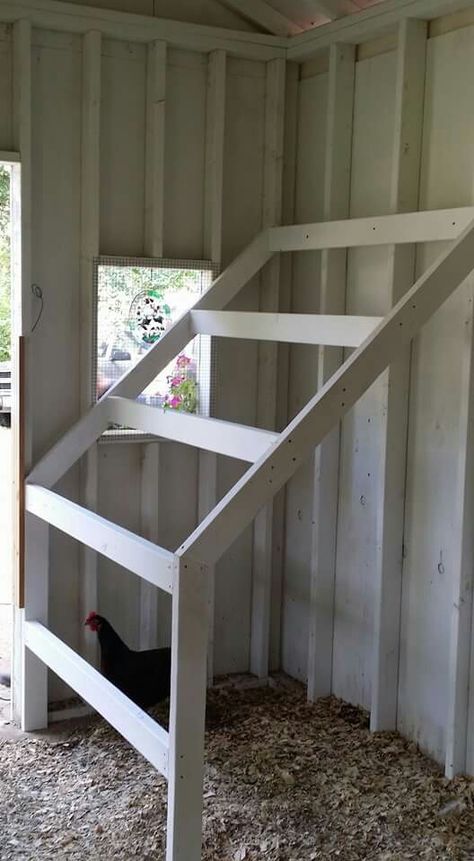 Roosting bars Roosting Bars For Chickens Diy, Chicken Coop Roosting Bars Ideas, Coop Roosting Bars, Chicken Roosting Bars Ideas, Diy Roosting Bars, Chicken Coop Roosting Ideas, Chicken Roosts, Roosting Bars, Diy Roosting Bars For Chickens