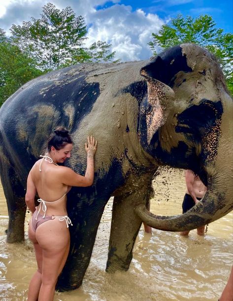 Elephant Mud Bath Thailand, Bali Outfits, Elephant Jungle, Africa Women, Thailand Elephants, Mud Bath, Elephant Sanctuary, Hot Poses, Phuket Thailand