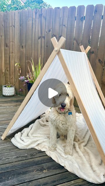 Kelley Waterfall on Instagram: "How to build a Teepee tent!  This DIY project is super fun, easy, and cost effective to make! Check out the full video and details on this build on my YouTube channel, link in my bio!   I’m so excited to finally be posting on YouTube. Filming and editing videos is something I have been passionate about for a long time. Fun fact I went to school for tv and film and have been creating videos in one way or another for 12 years. It feels so good to be able to combine two of my passions and make videos about all things woodworking and DIY!   #woodworking #woodworker #femalewoodworker #woodwork #woodworkingwoman #diy #diyhomeprojects" Build A Teepee, Diy Teepee Tent, Diy Teepee, Editing Videos, Make Videos, One Way Or Another, Teepee Tent, Fun Fact, Diy Woodworking