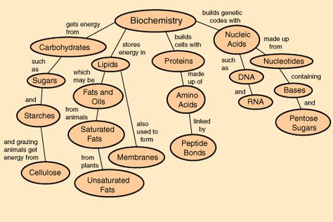 Biochemistry Concept Map Organic Compounds Basic Chemistry, Chemical Kinetics, Ac Circuit, Ohms Law, Physics Notes, Chemistry Class, Electric Field, Concept Map, Nuclear Energy