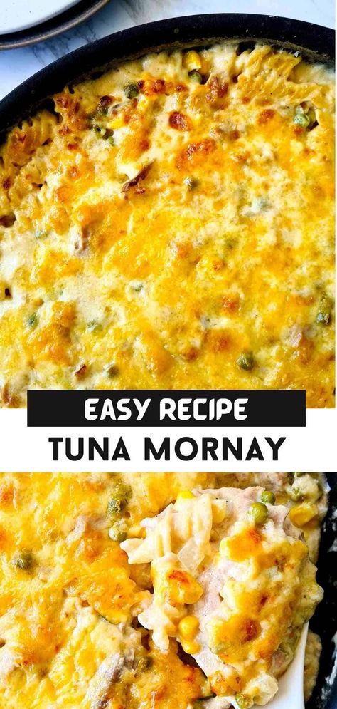 Tuna Mornay Pasta Bake, Creamy Tuna Casserole, Tuna Pasta Casserole, Tuna Mornay Recipe, Creamy Tuna Pasta Bake, Tuna Mornay, Easy Tuna Recipes, Tuna Bake, Tuna Dishes