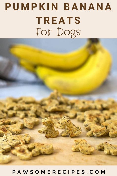 Pumpkin Banana Dog Treats Recipe, Pumpkin And Banana Dog Treats, Banana Pumpkin Dog Treats, Homemade Cat Treats Easy, Pumpkin Banana Dog Treats, Banana Dog Treat Recipe, Banana Dog Treats, Pup Treats, Spent Grain