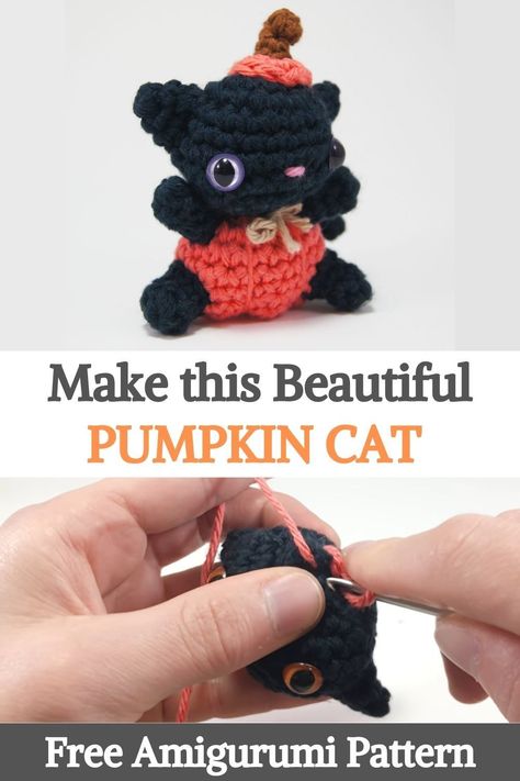 Beautiful Pumpkins, Halloween Crochet Patterns, Beginner Crochet Projects, Crochet Pumpkin, Crochet Fall, Quick Crochet, Halloween Crochet, Crochet Cat, Halloween Patterns