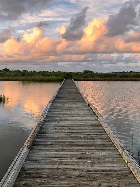 Galveston Island State Park | Visit Galveston Galveston Island State Park, Galveston Beach, Texas State Parks, Travel 2024, Galveston Island, Cruel Summer, Galveston Tx, Family Friendly Activities, Canoe And Kayak