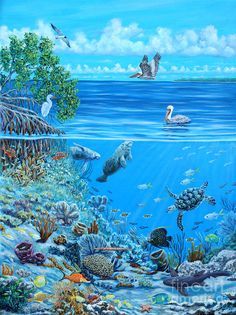 The Sea is Calling by Danielle Perry ~ under the sea art Under The Sea Artwork, Danielle Perry, Sea Drawing, Sea Artwork, Underwater Painting, Underwater Scene, Sea Life Art, Underwater Sea, Underwater Art