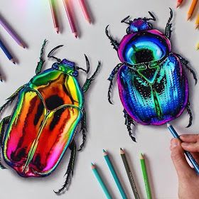 Rainbow Beetle, Colorful Bugs, Beetle Drawing, Beetle Art, Art Coquillage, Desen Realist, Prismacolor Art, Pencil Drawings Of Animals, Colored Pencil Artwork