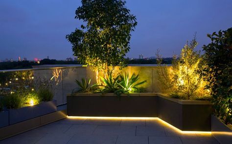 Rooftop Garden Lighting, Planter Box Lighting, Modern Backyard Lighting, Terrace Lighting Ideas, Planter Lights, Planter Lighting, Terrace Lighting, Rooftop Lighting, Modern Garden Lighting