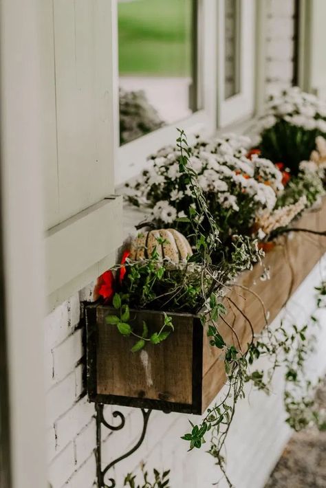 Have window boxes and looking for inexpensive ways to make them look great? Use this post for inspiration for beautiful budget-friendly fall window boxes! Autumn Window Boxes, Fall Flower Boxes, Fall Family Activities, Fall Window Boxes, Autumn Window, Fall Windows, My Chic Obsession, Box Flowers, Window Box Flowers