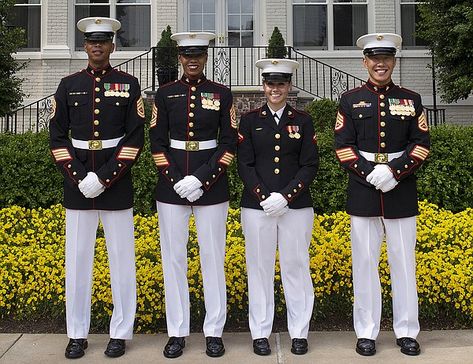 Marine Corps Female Dress Blue Uniform Could Become Same As Men's | KPBS Male Uniform, Usmc Dress Blues, Marine Corps Uniforms, Marines Uniform, Winter Uniform, Marine Officer, Blue Uniform, Female Marines, The Garrison