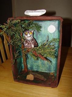 Owl Habitat | Dioramas, Plaster and Simple ... Owl Diorama, Animal Diorama, Owl Habitat, Habitat Diorama, American History Projects, Owl Themed Parties, Habitat Project, Diorama Kids, Owl School