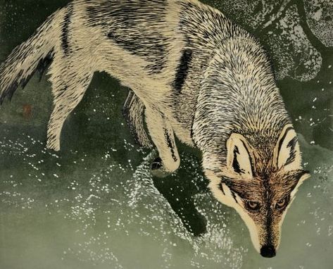 Mexican Wolf by Andrea Rich | Woodcut Print | Mexican Wolf Vintage Fox Drawing, Wolf Print, Wolf Aesthetic, Mexican Wolf, Woodcut Illustration, Wolf Painting, Woodcut Art, Wolf Images, Wolf Artwork