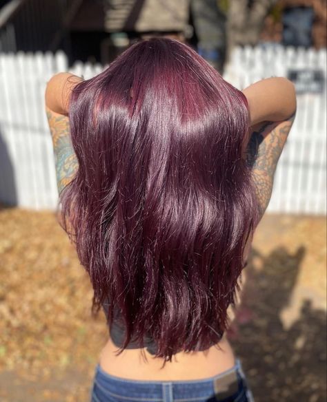 Arctic Fox Hair Dye Purple, Purple Hair For Brunettes, Artic Fox Purple Af, Arctic Fox Purple Af, Purple Brunette, Arctic Fox Purple, Hair For Brunettes, Arctic Fox Hair Dye, Dyed Hair Purple