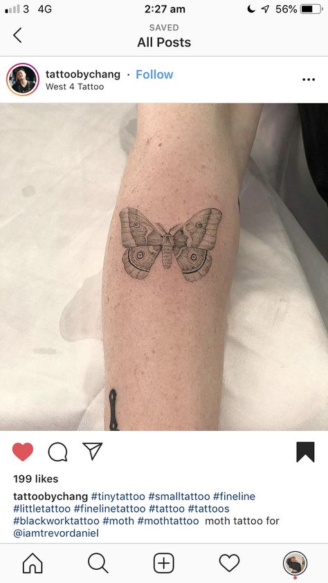 Moth Tattoo Fine Line, Fine Line Moth Tattoo, Line Moth Tattoo, Tattoo Fine Line, Tattoos Inspo, Fine Line Tattoo, 4 Tattoo, Moth Tattoo, Line Tattoo