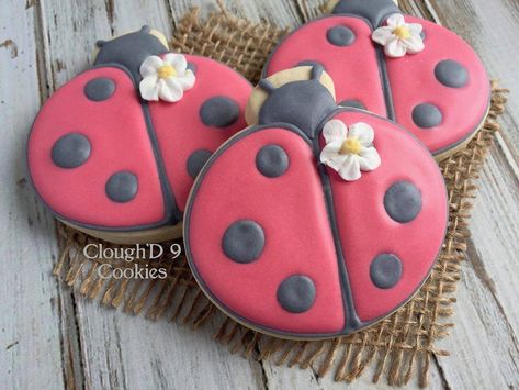 94 Likes, 3 Comments - Amy Clough (@amy_cloughd9cookies) on Instagram: “In just hours I'll be spending a few days at CookieCon with some sweet cookie ladies (and a few…” Ladybug Cookies, Amazing Cookies, Cookie Sticks, Biscotti Cookies, Spring Cookies, Summer Cookies, Cookie Time, Crunchy Cookies, Meringue Cookies